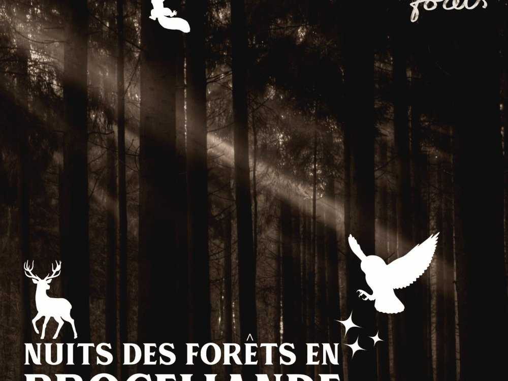 Affiche Nuits des Forêts avec la Confrérie des Guides Conteurs de Brocéliande
