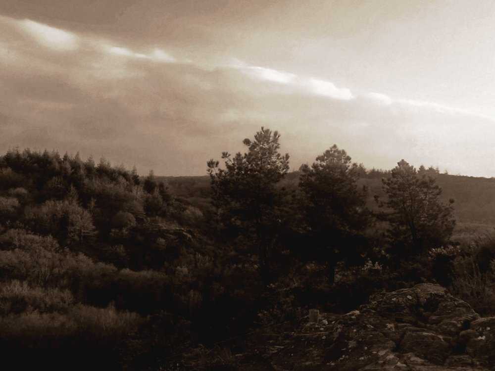 Balade contée d'hiver