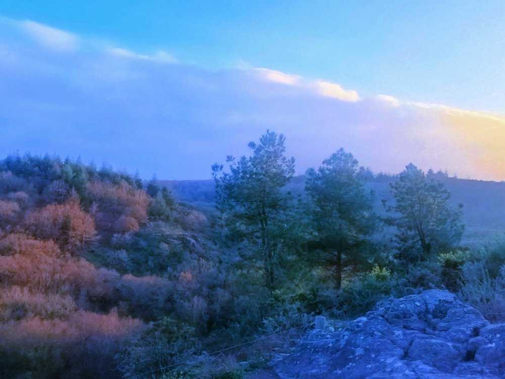 Balade contée d'hiver